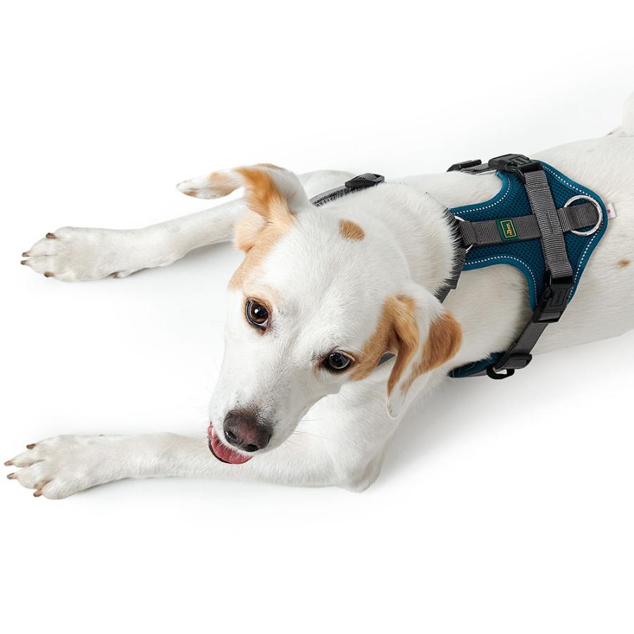 HUNTER（ハンター） 犬用 ハーネス マルドン 60-91/M-L 中型犬 大型犬