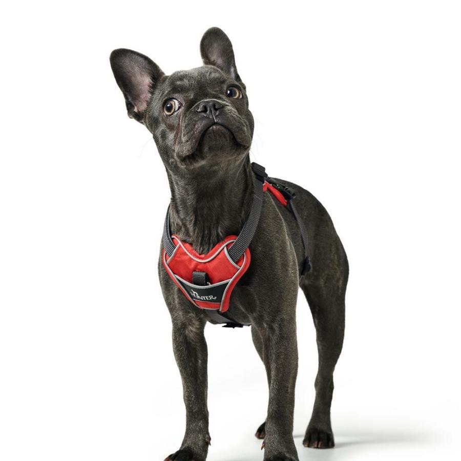 HUNTER（ハンター） 犬用 ハーネス ディヴォ 79-107/L-XL 大型犬 反射