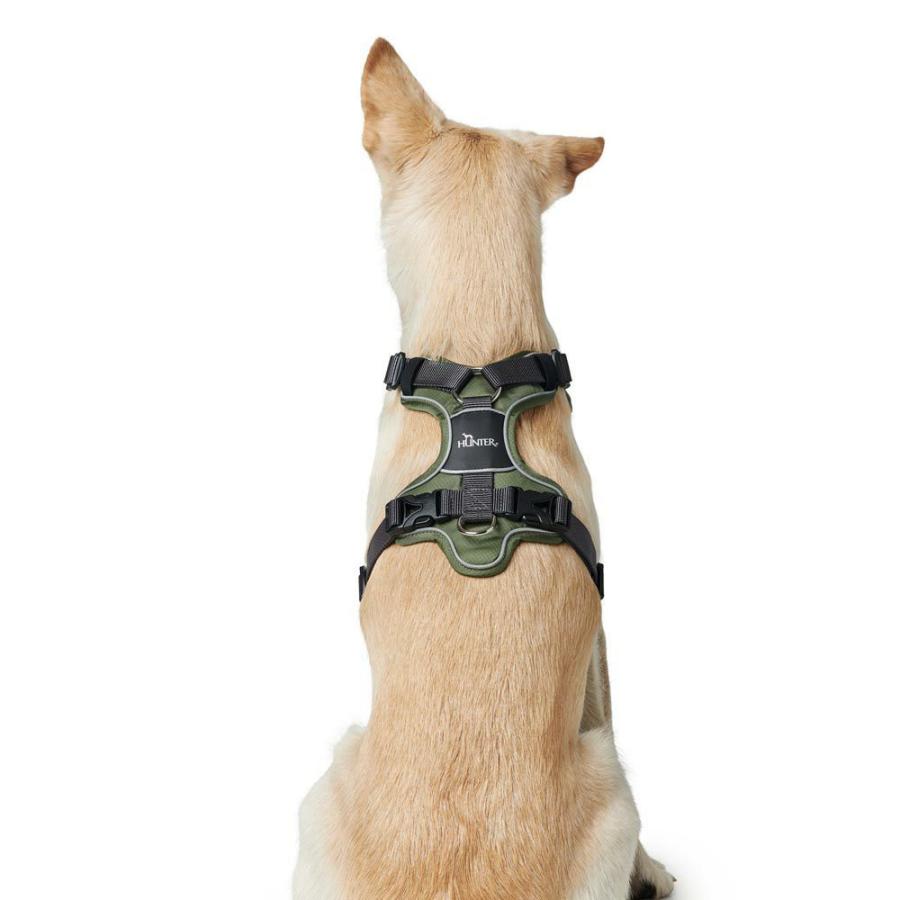 HUNTER（ハンター） 犬用 ハーネス ディヴォ 79-107/L-XL 大型犬 反射