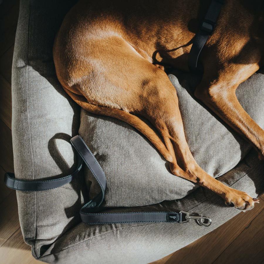ハンター 犬用 リード トレーニングリード ディヴォ \u0026 マルドン 25/200 (67642) 中型犬 大型犬 2頭引き 複数の画像