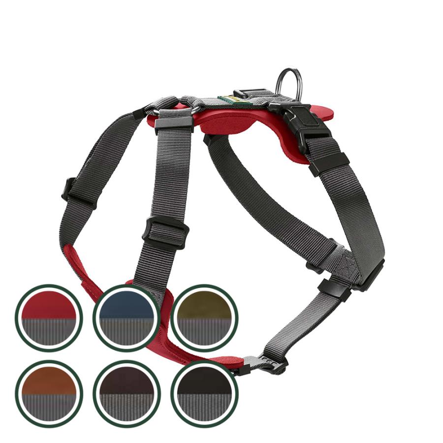ハンター 犬用 ハーネス オールボー ミキシード XS-S 小型犬 中型犬 本革 ドイツ製