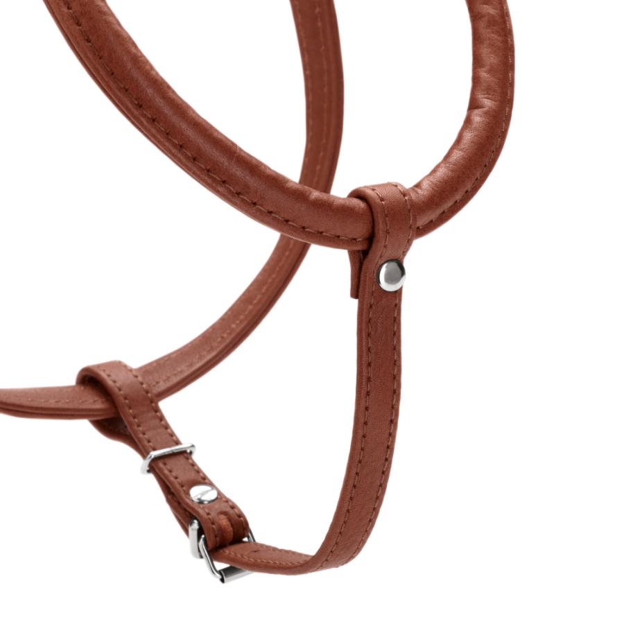 ハンター 犬用 ハーネス カナディアン アップ ラウンド＆ソフト 45-51/S/2 小型犬 本革 ドイツ製_5
