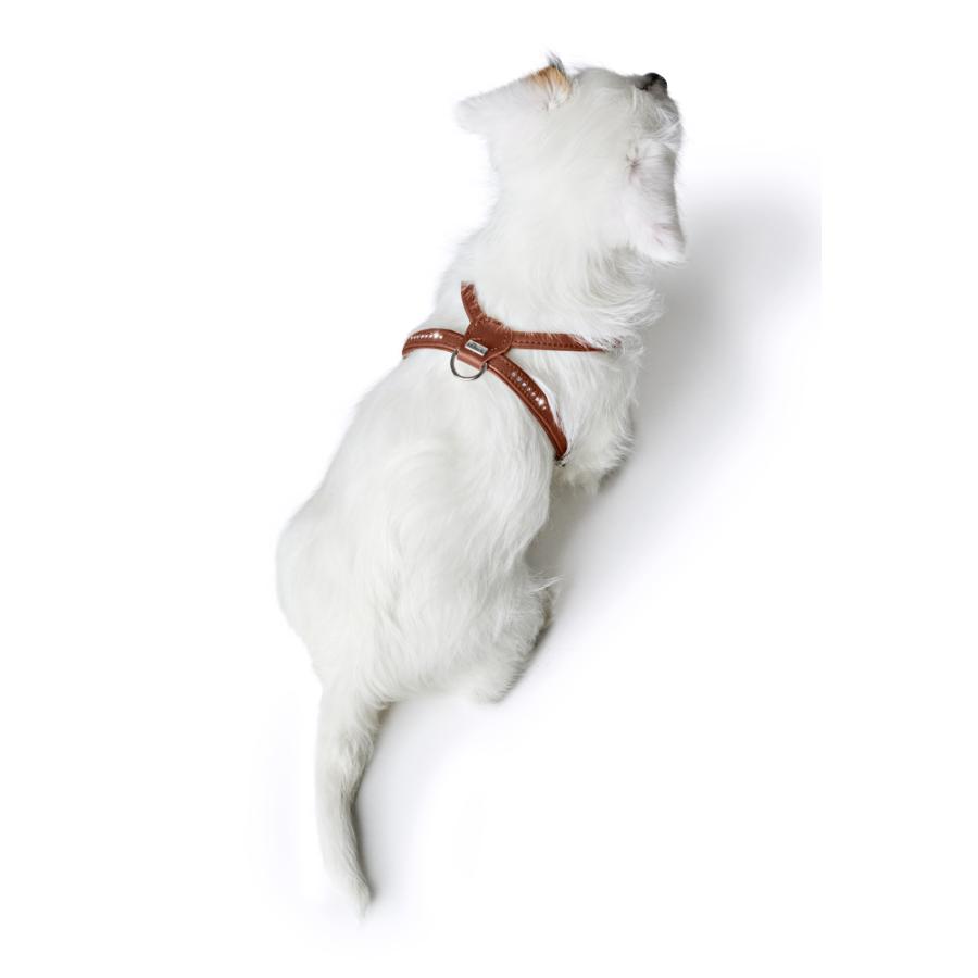 ハンター 犬用 ハーネス カナディアン アップ ラウンド＆ソフト 45-51/S/2 小型犬 本革 ドイツ製_9