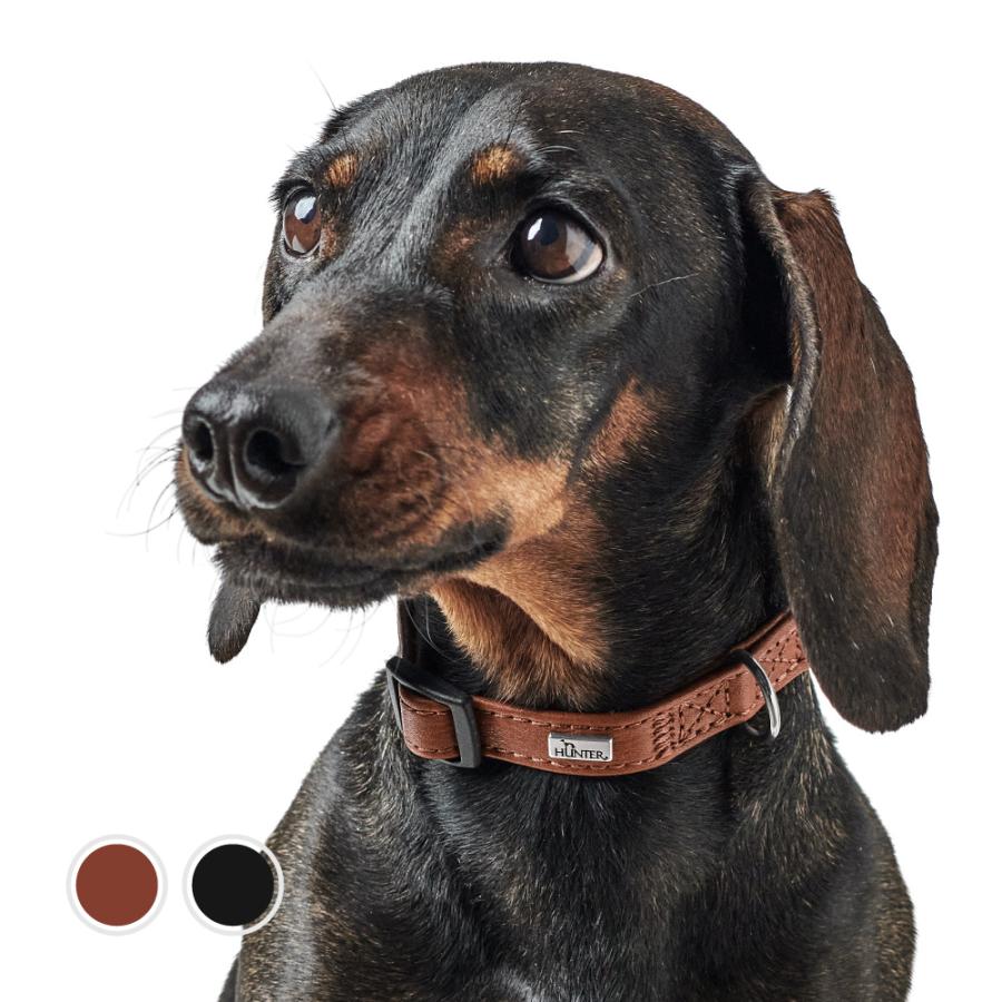 HUNTER（ハンター） 犬用 首輪 カナディアン アップ プチ 16-22/XXS-XS