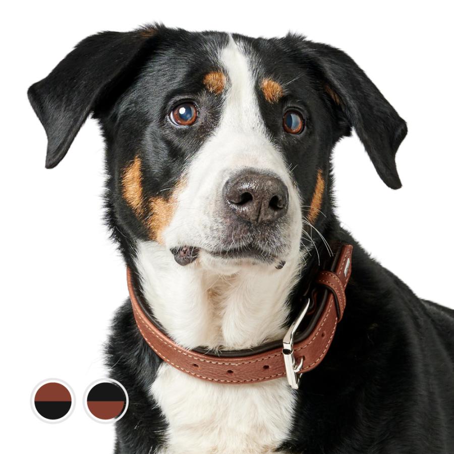 HUNTER（ハンター） 犬用 首輪 カナディアン アップ 60/M-L 中型犬