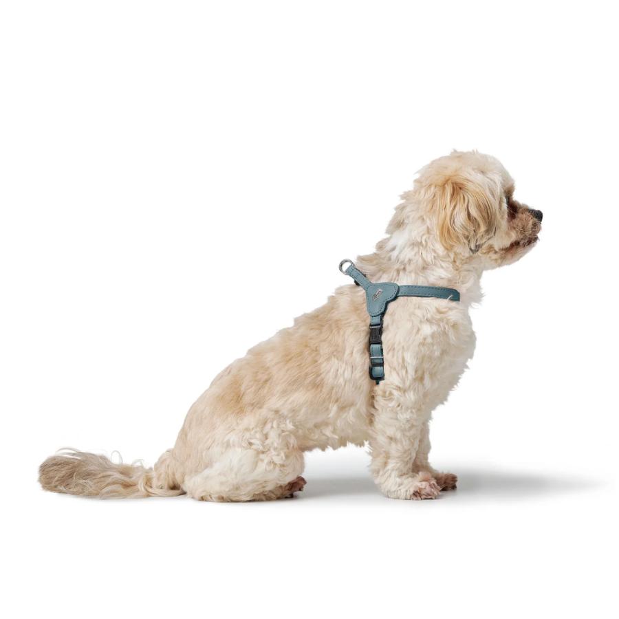 HUNTER（ハンター） 犬用 ハーネス ソーホー ミニ XS-S 超小型犬 小型