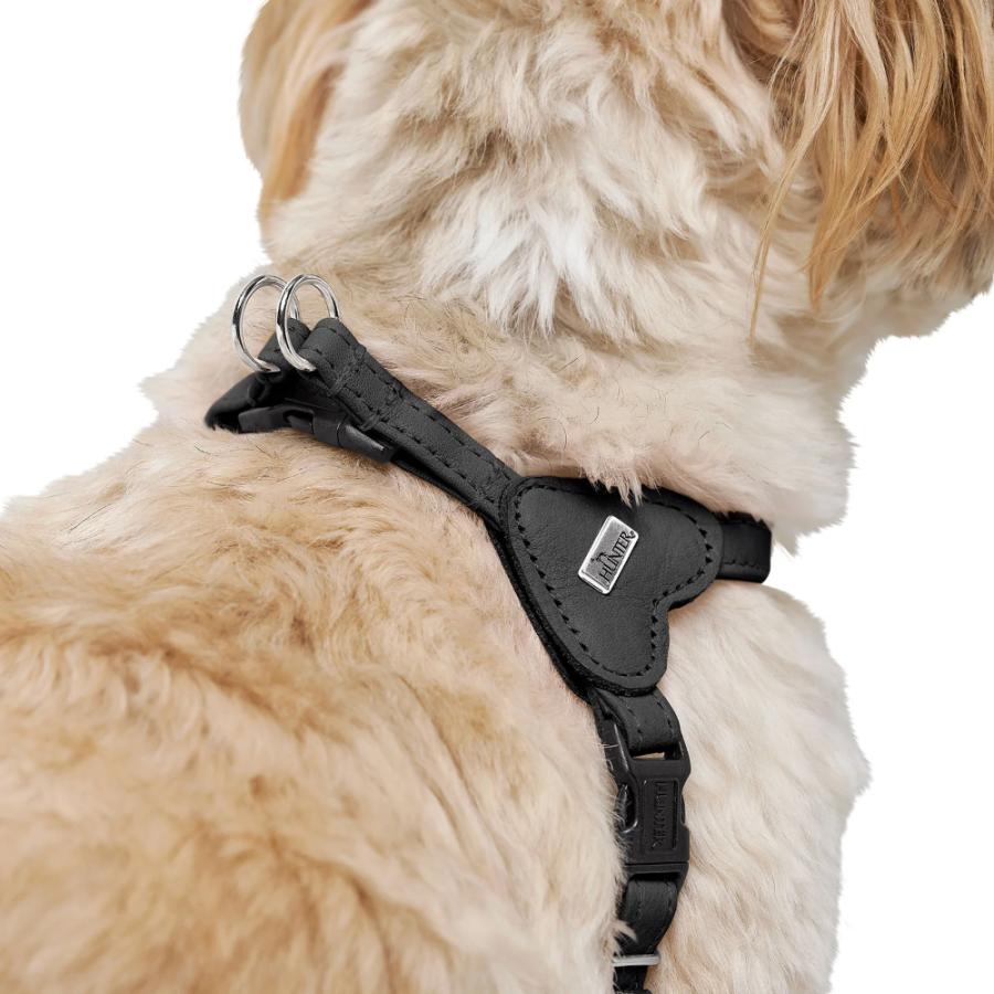 HUNTER（ハンター） 犬用 ハーネス ソーホー ミニ XS-S 超小型犬 小型