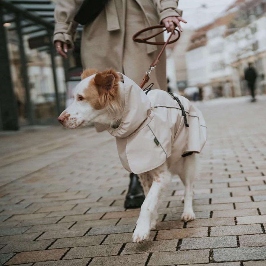ハンター 犬用 服 コート ノールドビー 65 cm 中型犬 大型犬 防寒 コート ドイツブランド