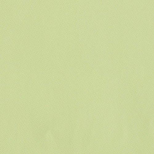 リリカラ 壁紙23m 無地 シンフ Morris ル 無地 グリーン Morris 住宅設備 Licensed Co Collection ショップアザラシ Web限定カラー