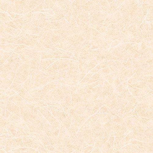 最高の品質 和 壁紙28m リリカラ 和紙調 Lw 2644 Japan ベージュ 壁紙 店長が描いた季節のイラスト の同梱 希望しない Vesismin Com