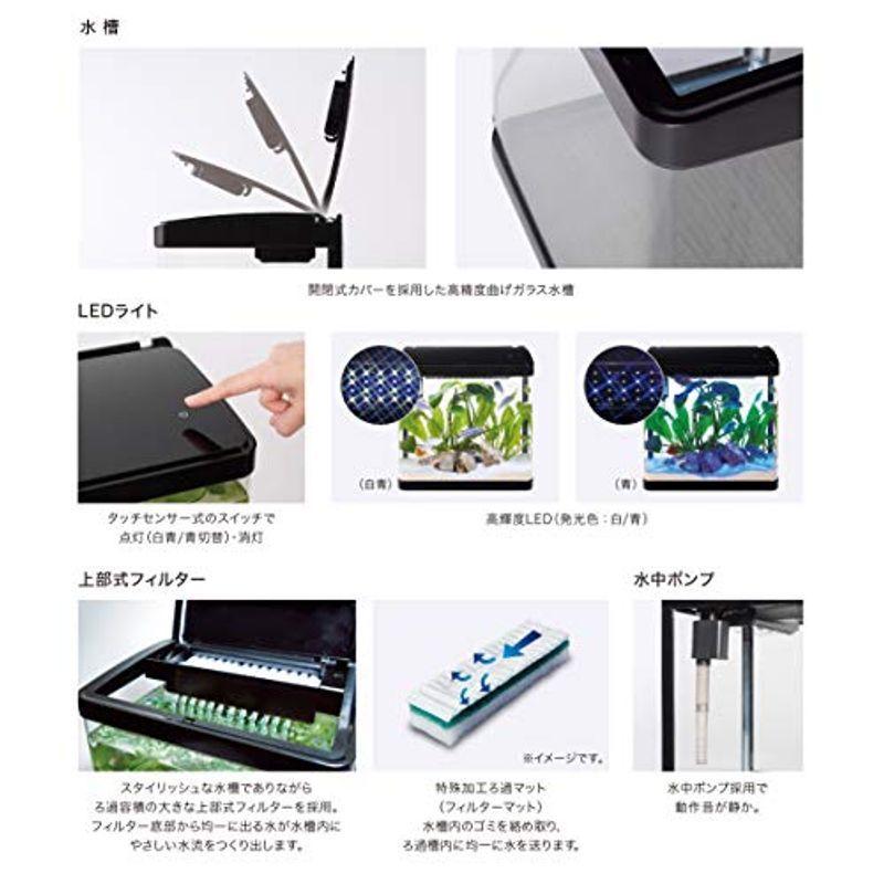 人気急上昇 寿工芸デビューn325 水槽 Aefe Ien Madagascar Mg