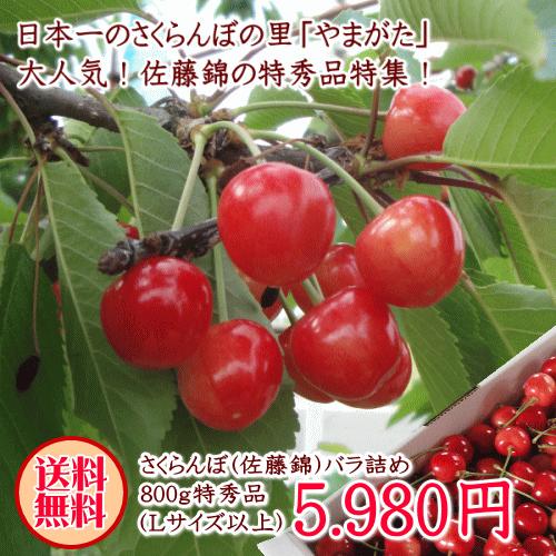 さくらんぼ 佐藤錦 バラ詰め 800g 特秀品 (Lサイズ以上)【送料 さくらんぼ 佐藤錦 バラ詰め 800g 特秀品 (Lサイズ以上)【送料