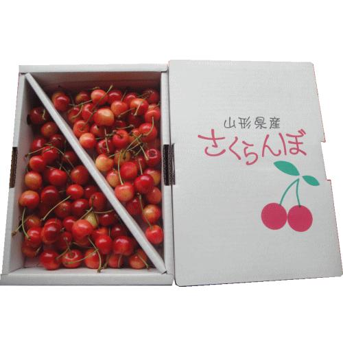 さくらんぼ 佐藤錦 600g お買得用 秀・優品M・Lサイズ混合【2箱同梱で