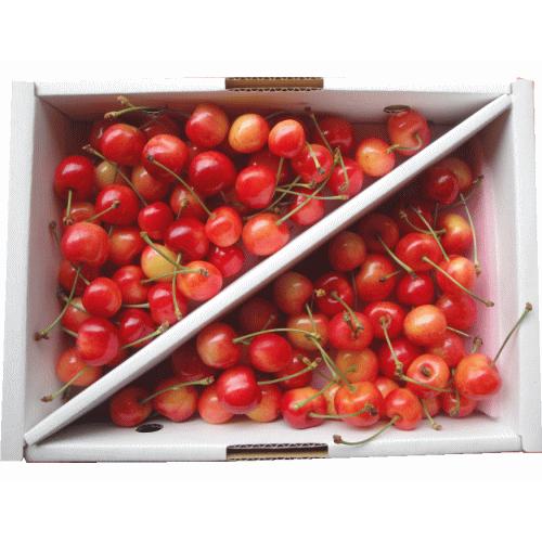 さくらんぼ  佐藤錦  600g お買得用  秀・優品M・Lサイズ混合【2箱同梱で送料無料！(※沖縄県は2箱同梱の場合も別途送料800円がかかります)】【クール便配達】 |  | 03