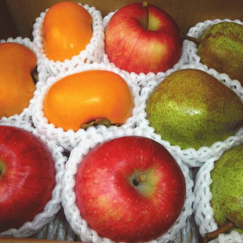 【山形の旬】晩秋フルーツセット（洋梨・庄内柿・りんご）２ｋｇ満杯詰め【※但し、沖縄県・離島へのお届けの場合は、別途送料が500円かかります)】 | 