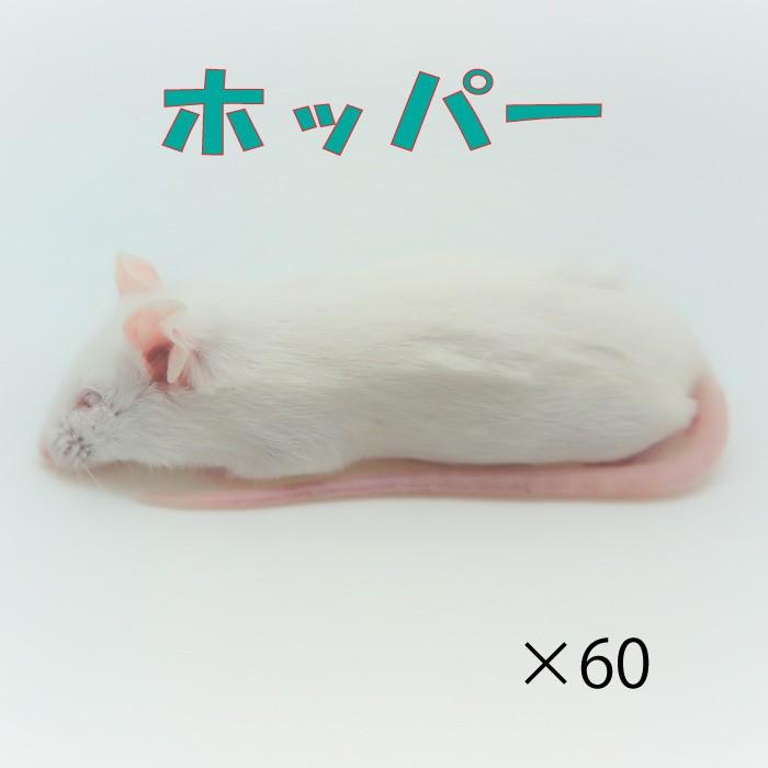 ホッパー ホッパーマウス ☆ 冷凍マウス 国産冷凍マウス ☆MEGO☆国産