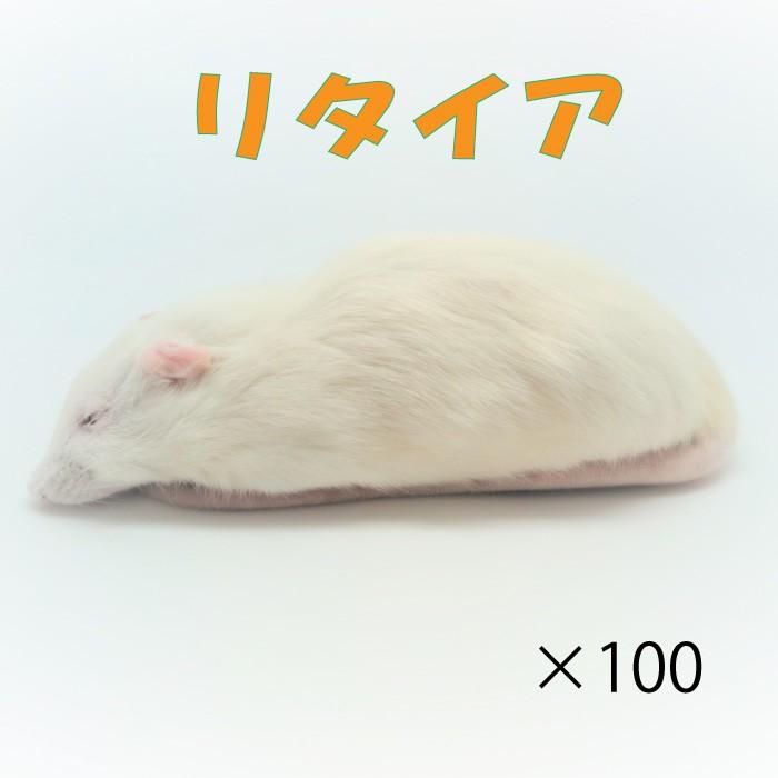 冷凍マウス　リタイア　100匹 冷凍リタイアマウス (100匹)約10.0cm/匹 ☆富城 冷凍マウス リタイア