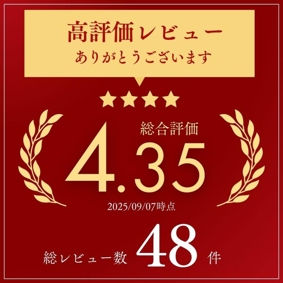 ヤンキーホーン 12v 車 ホーン 爆音 38cm エアーホーン 超高音 クラクション 車用 自動車 自動車用ホーン ラッパ ミュージックホーン カーホーン 送料無料 | ブランド登録なし | 02