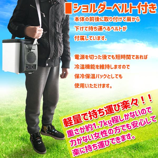 冷温庫 車載 車載冷蔵庫 小型 6L 自動車用 ポータブル冷蔵庫 保温 冷温