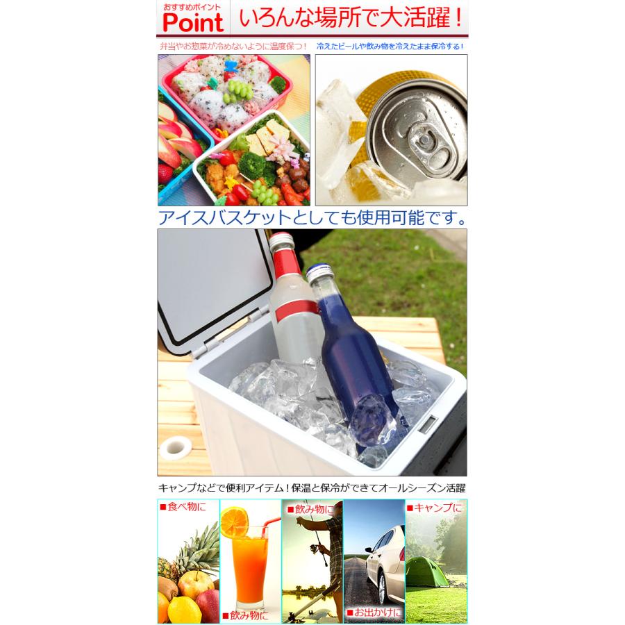 冷温庫 車載 車載冷蔵庫 小型 6L 自動車用 ポータブル冷蔵庫 保温 冷温