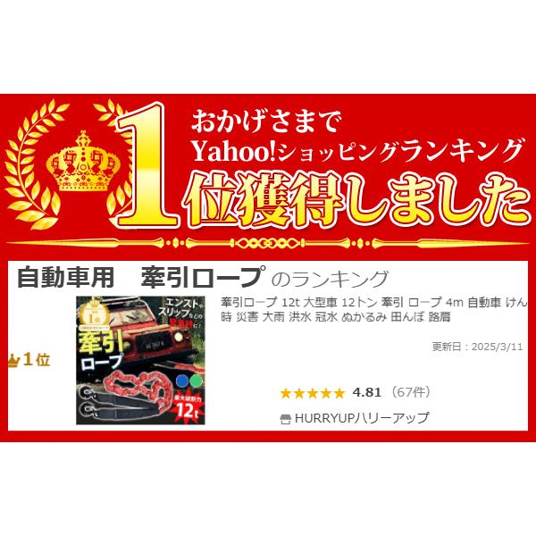 牽引ロープ 12t 車 12トン 牽引 ロープ 4m 自動車 けん引ロープ
