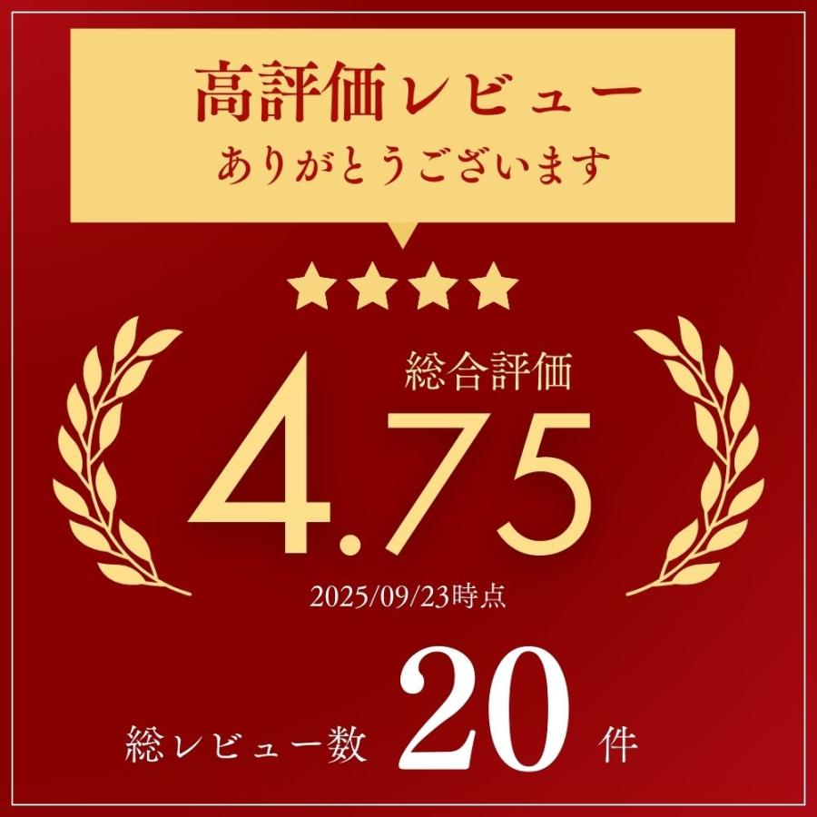 牽引ロープ 14t 車 伸縮牽引ロープ 4m 牽引 事故 トラブル エンスト トラブル 14トン けん引 車両 普通車 けん引ロープ スリップ 引っ張りロープ 緊急用 脱輪 | ブランド登録なし | 09