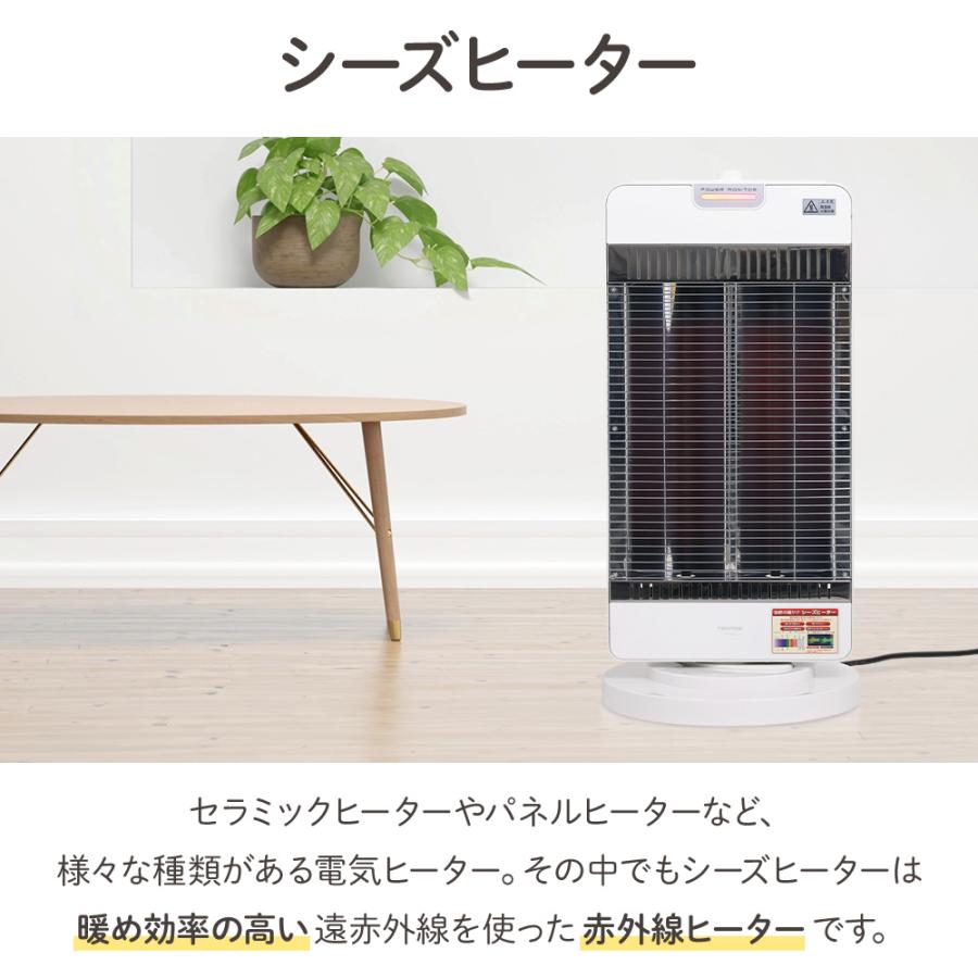 TEKNOS（テクノス） 電気ストーブ ヒーター 暖房器具 カーボンヒーター
