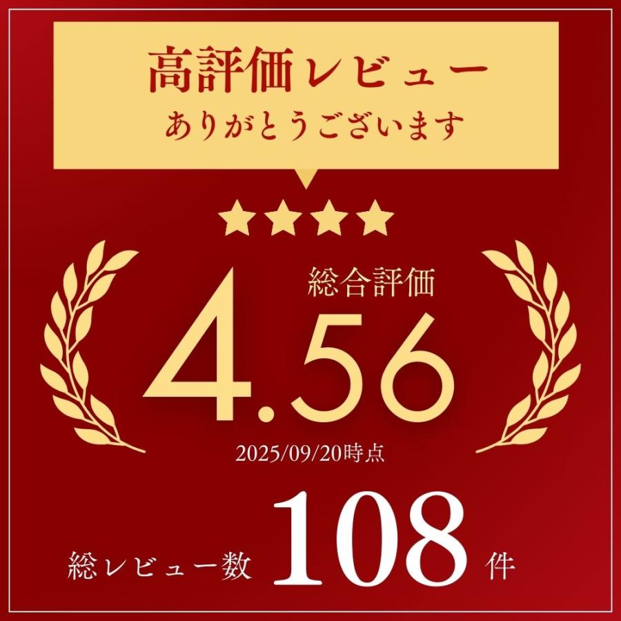 サイドバッグ バイク ツーリング 左右 2個セット 汎用 大容量 収納