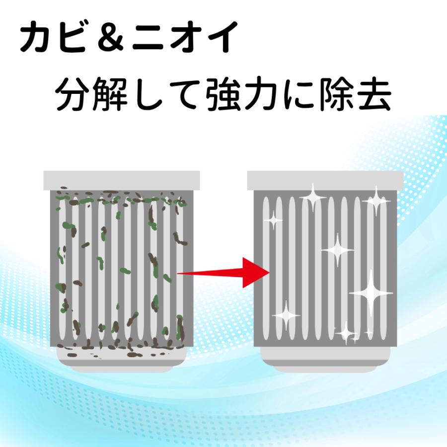 ニイタカ 洗濯槽クリーナー 洗濯槽洗剤 12kg 2l 洗濯槽カビクリーナー