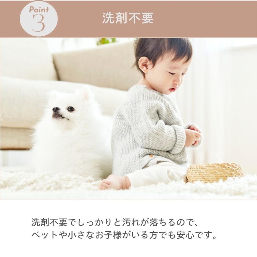 カーペットクリーナー 加熱式 水洗い リンサー 高温 60度 絨毯