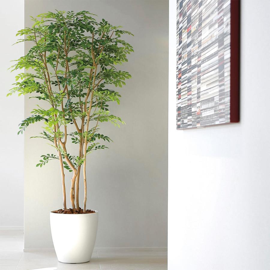 法人様限定 アートクリエイション オフィス家具 フェイクグリーン 人工観葉植物 ツートントネリコ1.8 2443A650