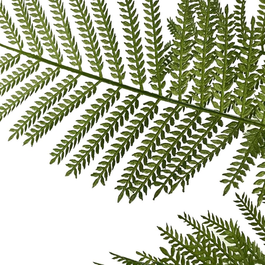 法人様限定 アーバン通商 オフィス家具 フェイクグリーン 人工観葉植物