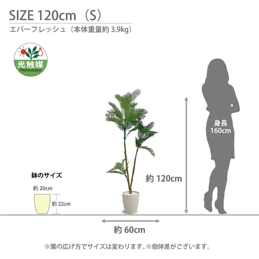 法人様限定 アーバン通商 オフィス家具 フェイクグリーン 人工観葉植物 エバーフレッシュ EVE-120IVの画像
