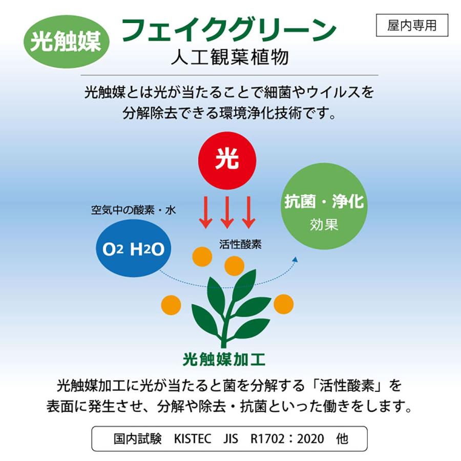 法人様限定 アーバン通商 オフィス家具 フェイクグリーン 人工観葉植物 エバーフレッシュ EVE-120IVの画像