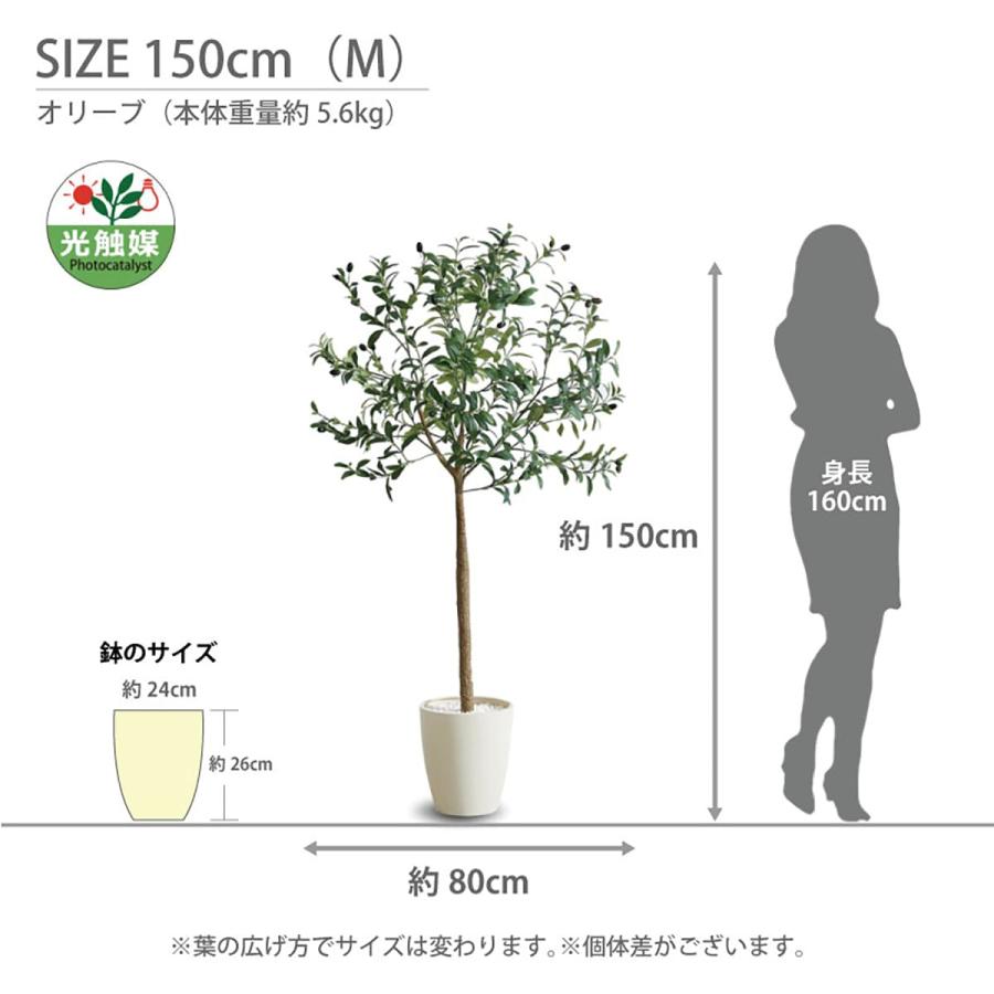法人様限定 アーバン通商 オフィス家具 フェイクグリーン 人工観葉植物 オリーブ OLE-150IV_5