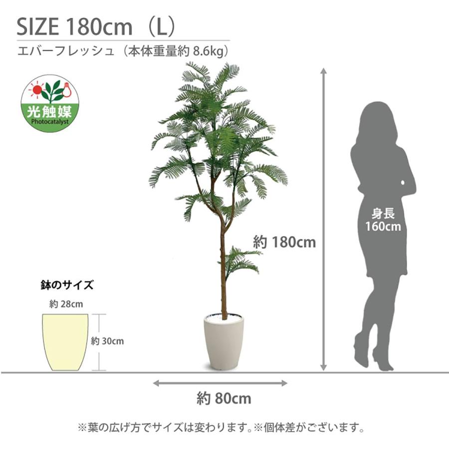 法人様限定 アーバン通商 オフィス家具 フェイクグリーン 人工観葉植物 