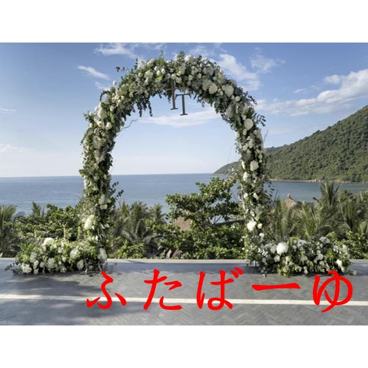 ガーデンアーチ アーチ アイアン ゲート バラアーチ フラワーアーチ ガーデニング 庭 ガーデニング おしゃれ 果樹棚 | ブランド登録なし | 09