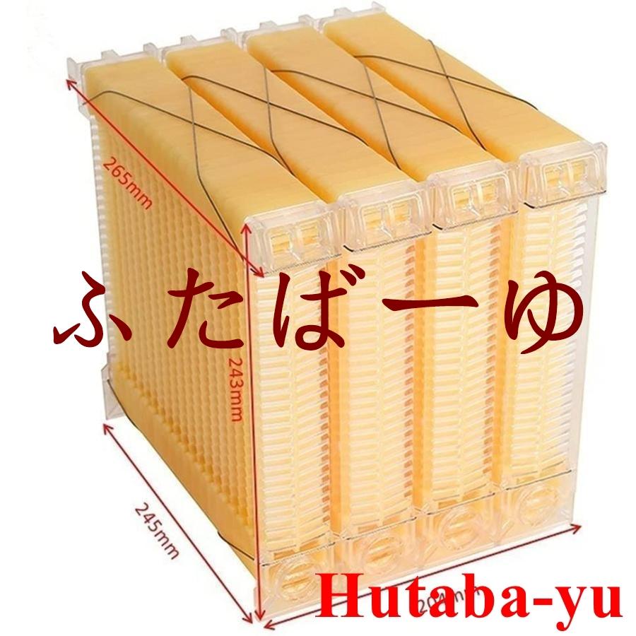 ミツバチ 巣箱 蜜蜂巣箱 4/7個 フローハイブ 蜂巣 巣脾 巣礎 巣 ミツバチ 巣箱 蜜蜂巣箱 4/7個 フローハイブ 蜂巣 巣脾 巣礎 巣