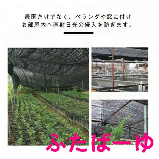 遮光ネット 農業 遮光率80％ 2×50m 平織 遮熱ネット 遮光 遮熱 黒