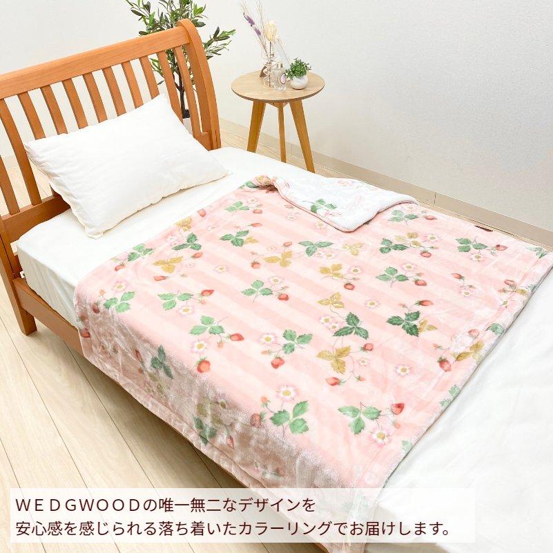 WEDGWOOD（ウェッジウッド） ハーフサイズ 西川 あったか わた入り