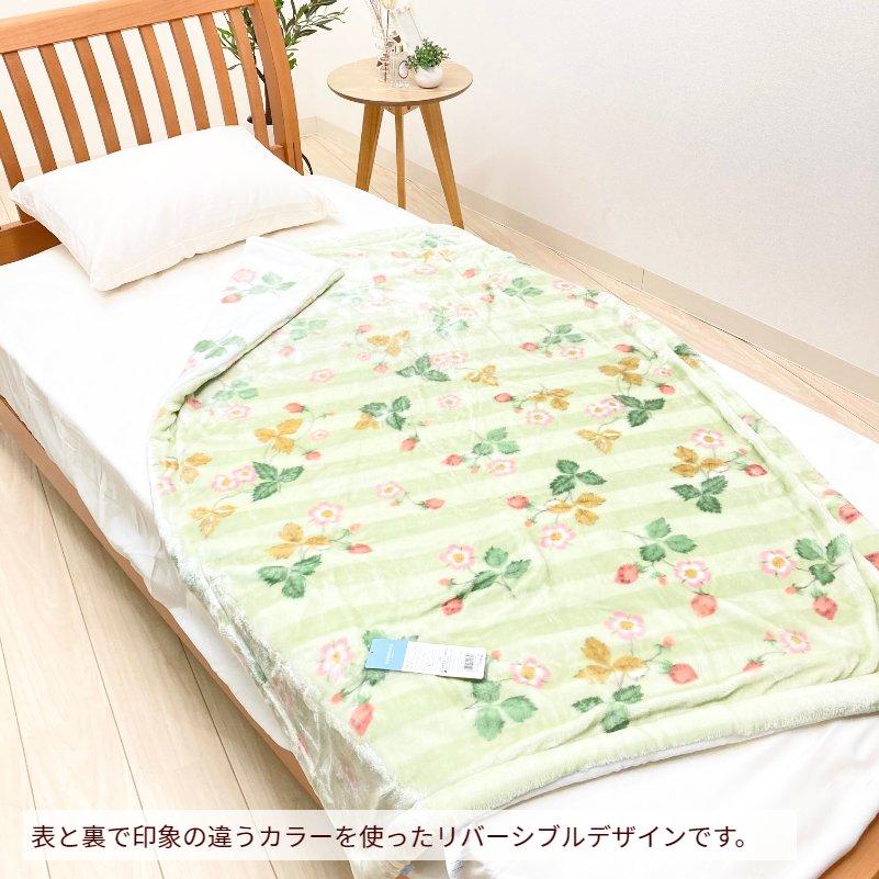 WEDGWOOD（ウェッジウッド） ハーフサイズ 西川 あったか わた入り