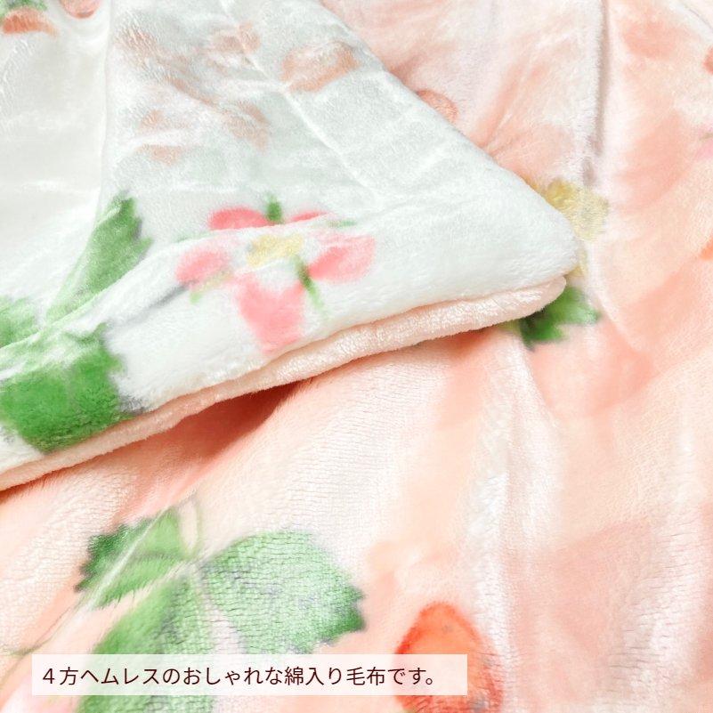 WEDGWOOD（ウェッジウッド） ハーフサイズ 西川 あったか わた入り