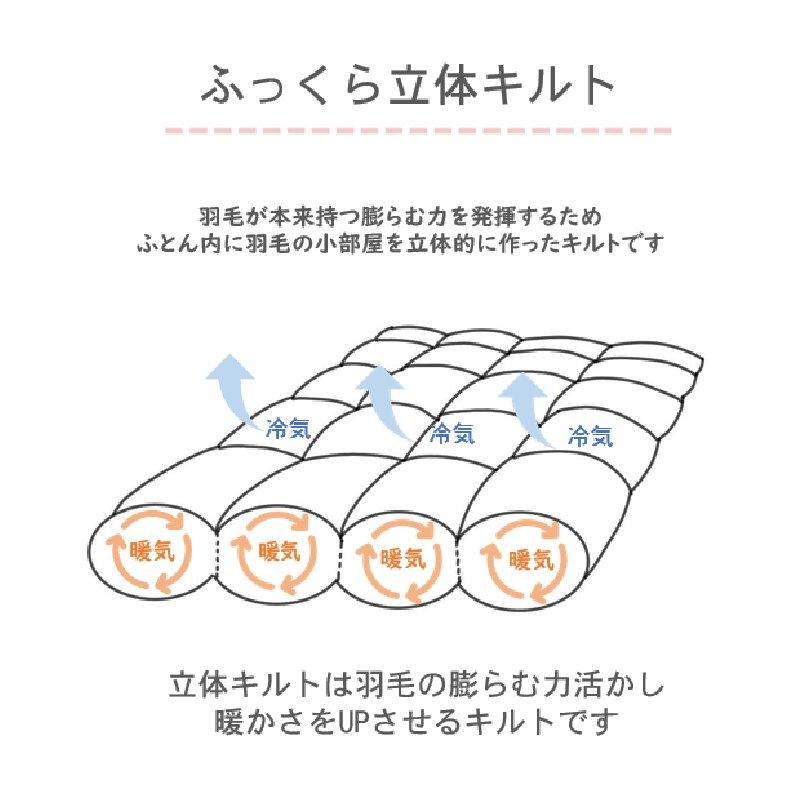 掛け布団 西川 ハンガリー産ホワイトダックダウン90％ 1.3kg セミダブル 羽毛布団 抗菌加工 (1533)   B20ブルー｜hutonkan｜12