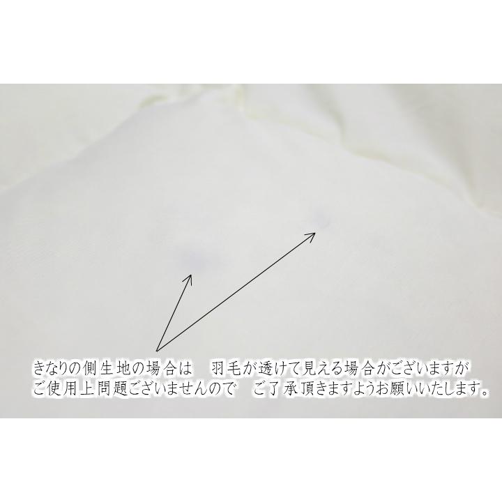 小さめ羽毛布団 1.0kg入 140×190cm エクセルゴールドラベル ダウン85