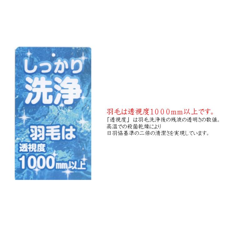 小さめ羽毛布団 1.0kg入 140×190cm エクセルゴールドラベル ダウン85