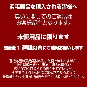 小さめ羽毛布団 1.0kg入 140×190cm エクセルゴールドラベル ダウン85
