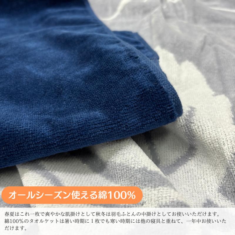 WEDGWOOD（ウェッジウッド） タオルケット 西川 日本製 コットン 綿100