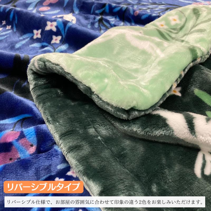 西川（nishikawa） ハーフサイズ フィンレイソン あったか わた入り