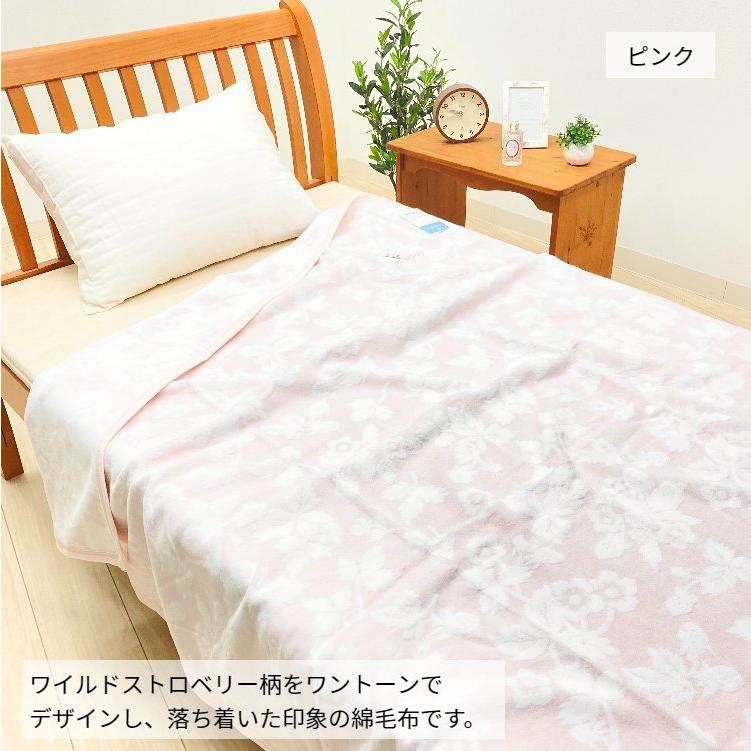毛布 綿毛布 西川 ウェッジウッド 綿100％ 日本製 泉大津 シングル