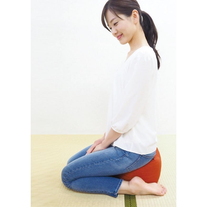 正座が楽になるクッション SAIKORO サイコロ パイプ 日本製 （SK